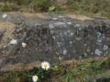 image of grave number 109266